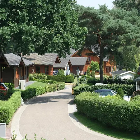 Modern Near Brunssummerheide Holiday home *